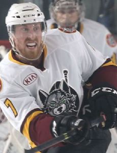 David Shields (ice hockey)