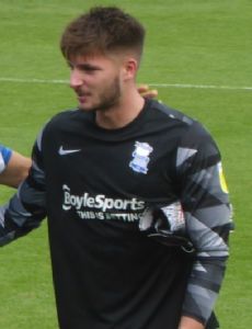 Matija Šarkić