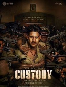 Custody