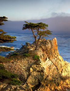 Pebble Beach, California