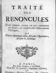 Jean-Paul de Rome d'Ardène