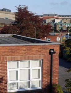 Queen Elizabeth Hospital, Gateshead