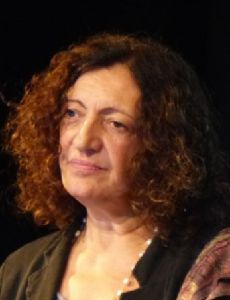 Ana Falú