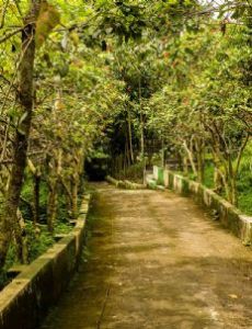 Sukorambi Botanical Garden