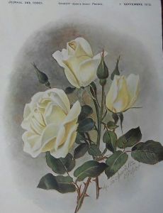 Hermann Kiese