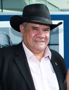 Mick Dodson