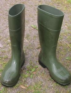 Wellington boot
