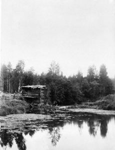 South Keltma River