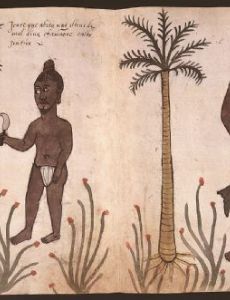 Maldivian–Portuguese conflicts