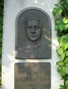 Milan Tepić