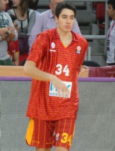 Ege Arar