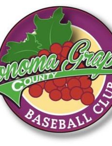 Sonoma County Grapes