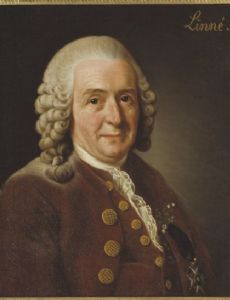 Carl Linnaeus