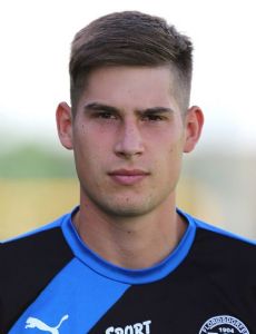 Aleksandar Milenković (footballer)