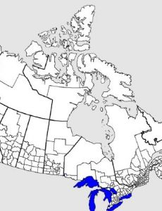 Census geographic units of Canada