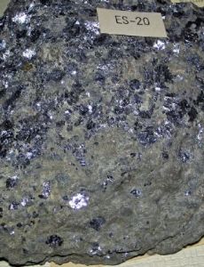 Bonneterre Formation