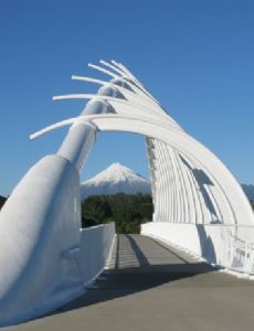 Te Rewa Rewa Bridge
