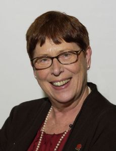Anita Johansson (politician)