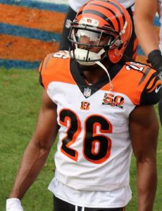Josh Shaw