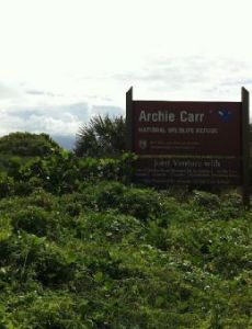 Archie Carr