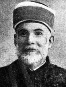 Džemaludin Čaušević