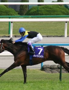 Makoto Kaneko