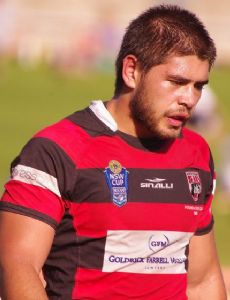 Chris Grevsmuhl
