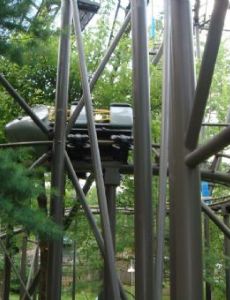 Wild Mouse (Idlewild)