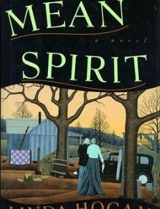 Mean Spirit