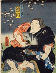 Sakaigawa Namiemon I