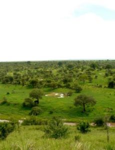 Tarangire National Park