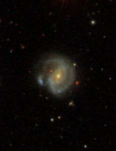 NGC 341