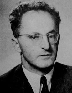Hasan Brkić