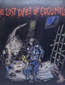 The Lost Tapes of Cogumelo