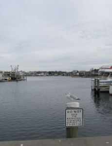 Hyannis Harbor
