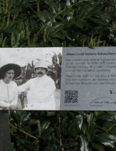 Helene Bresslau Schweitzer