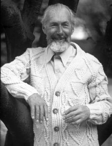 P. A. Ó Síocháin