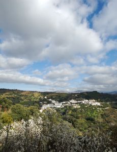 Júzcar