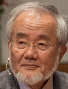Yoshinori Ohsumi