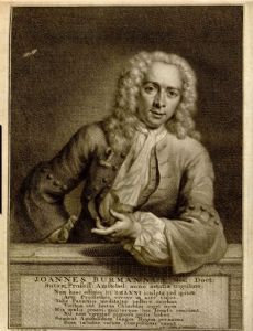 Johannes Burman