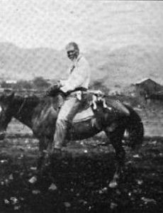 Puahi
