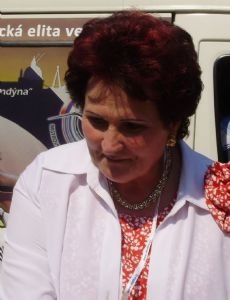 Helena Fibingerová