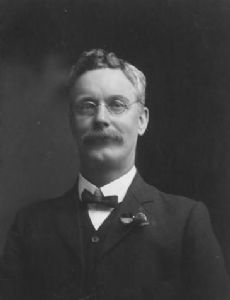 William Webster (Australian politician)