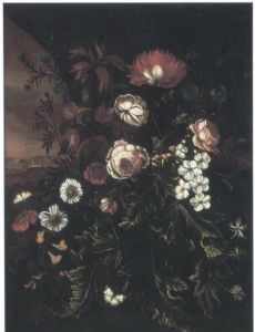 Maria Withoos