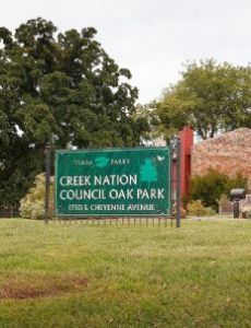 Creek Council Oak Tree