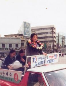An Hae-sook