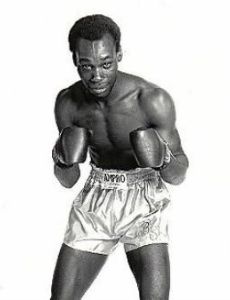 Bunny Sterling