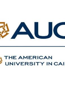 The American University in Cairo