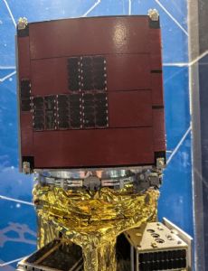 RAPIS-1