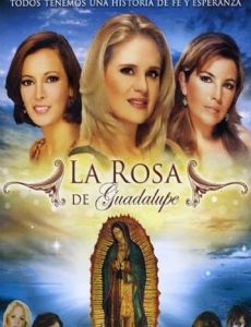 La rosa de Guadalupe